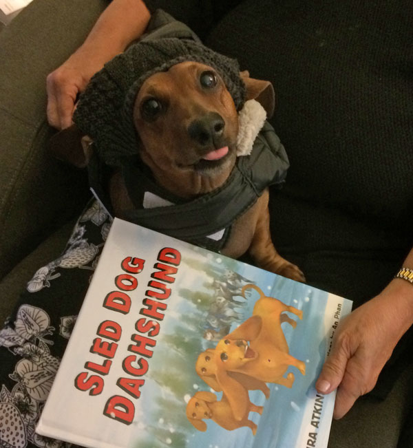 Dachshunds know a good book when they see one!
